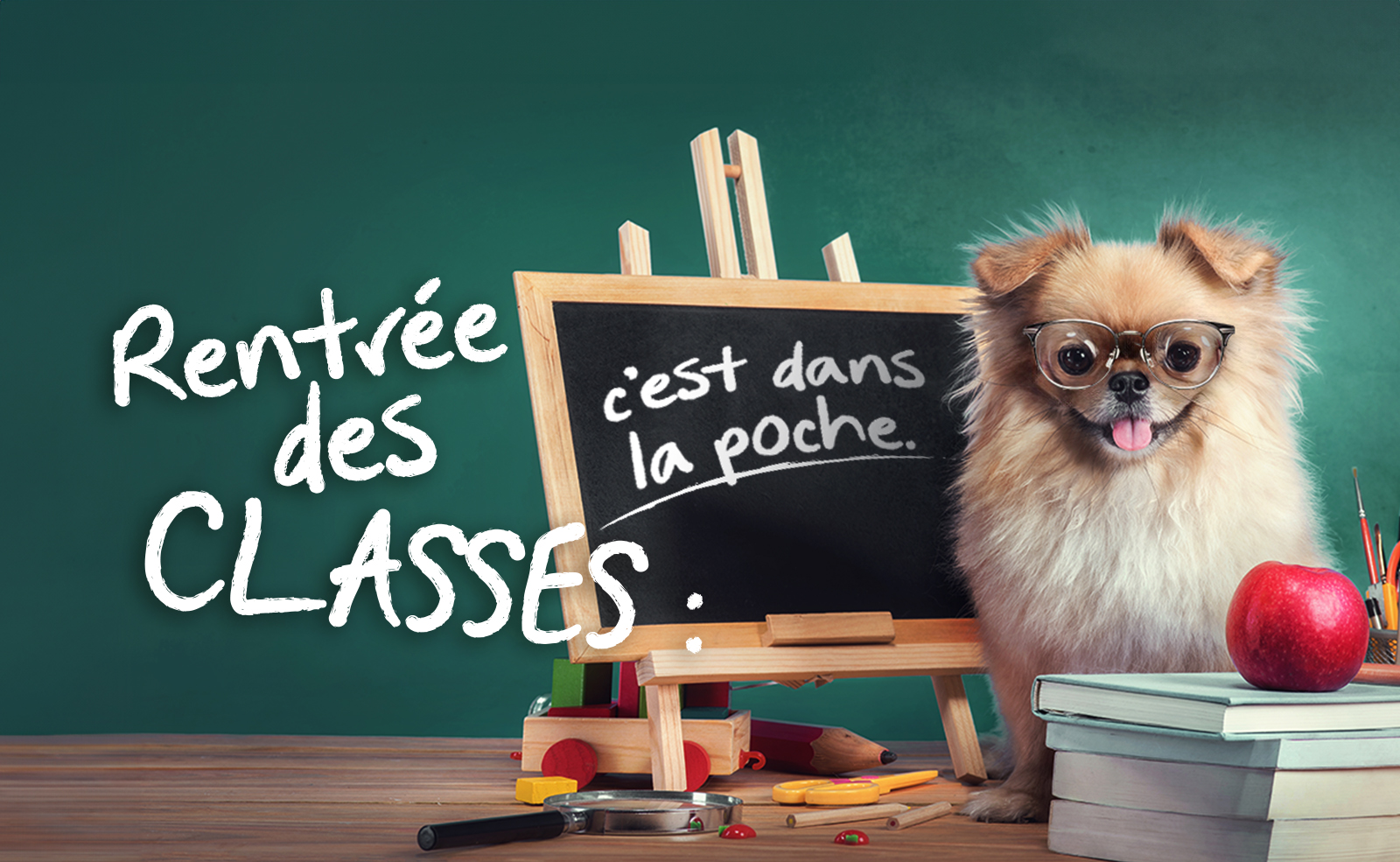 RENDEZ LA RENTRÉE SCOLAIRE PLUS AGRÉABLE AVEC AXPOL TRADING !