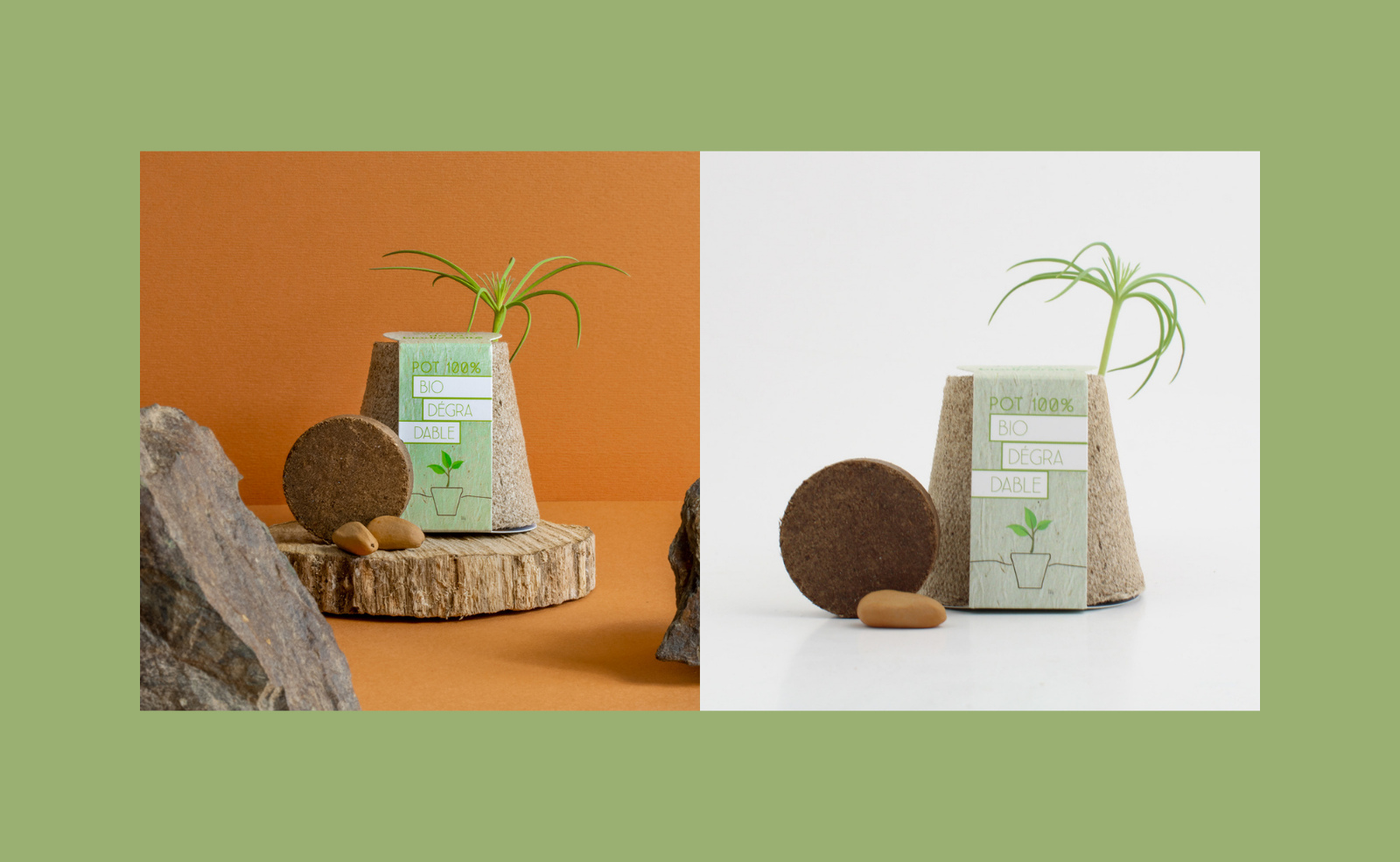 GROW YOUR BRAND WITH THE PLANTING KIT BY IDEAS NATURE