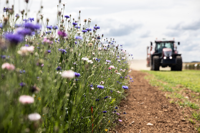 Biomasse agricole : décrypter les trajectoires énergétiques françaises à l’horizon 2050