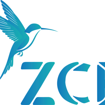 ZERO CARBON EMISSION