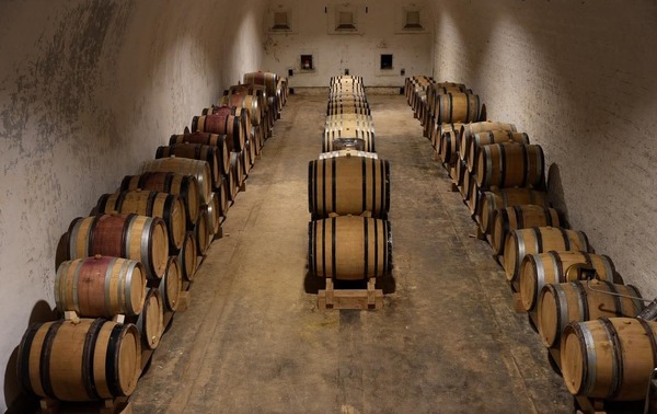 Dijon, un vignoble déjà tourné vers le futur