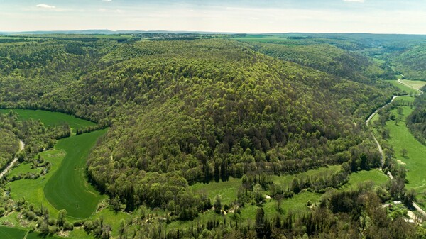 Intégration paysagère d’une emprise de ligne électrique dans la Réserve naturelle régionale et Forêt d’exception® Val Suzon