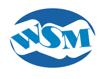 WORLD SPONGE MANUFACTURING CO.,  LTD.