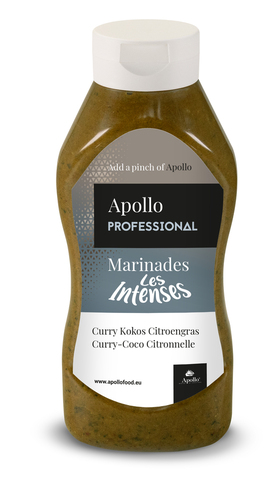 MARINADES INTENSE CURRY COCO CITRONNELLE