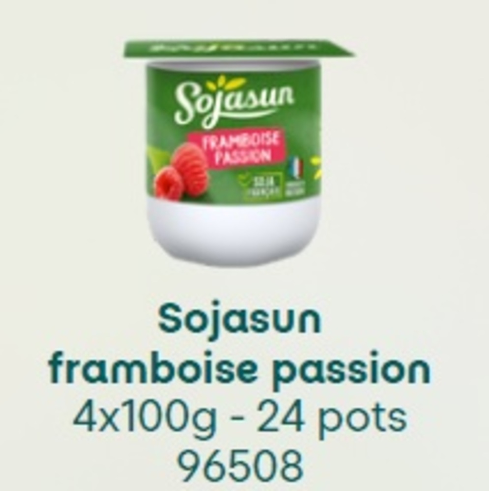 Dess soja framb pass(100Gx4x6)Sojas VGI