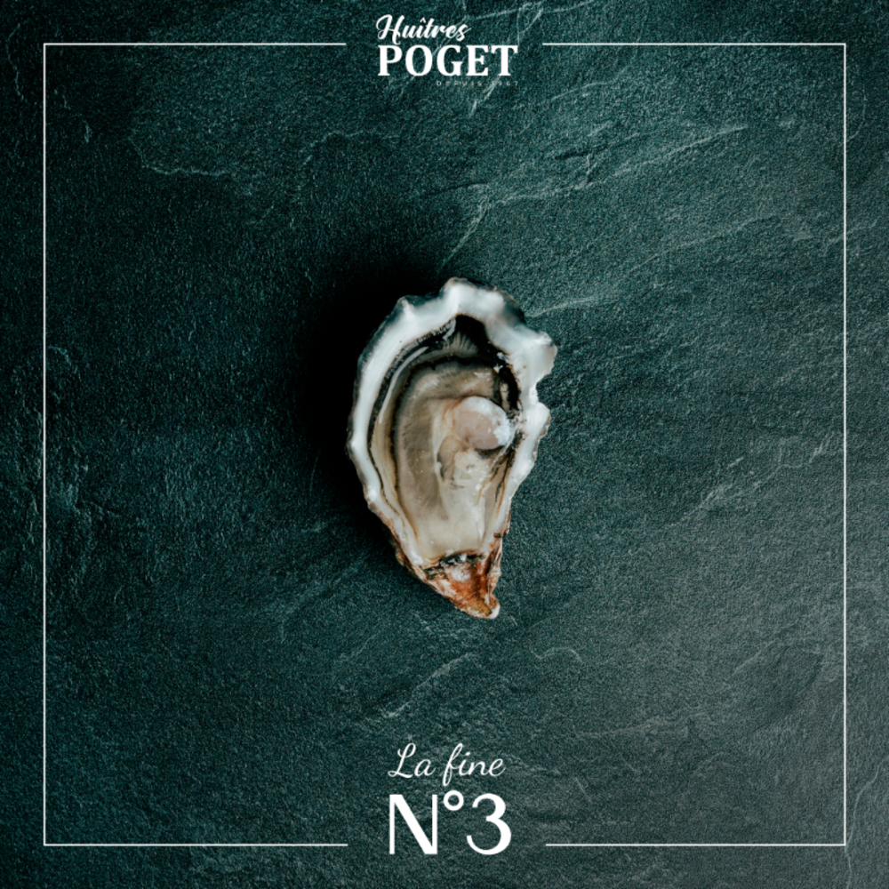 La fine du Galon d'Or