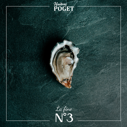 La fine du Galon d'Or