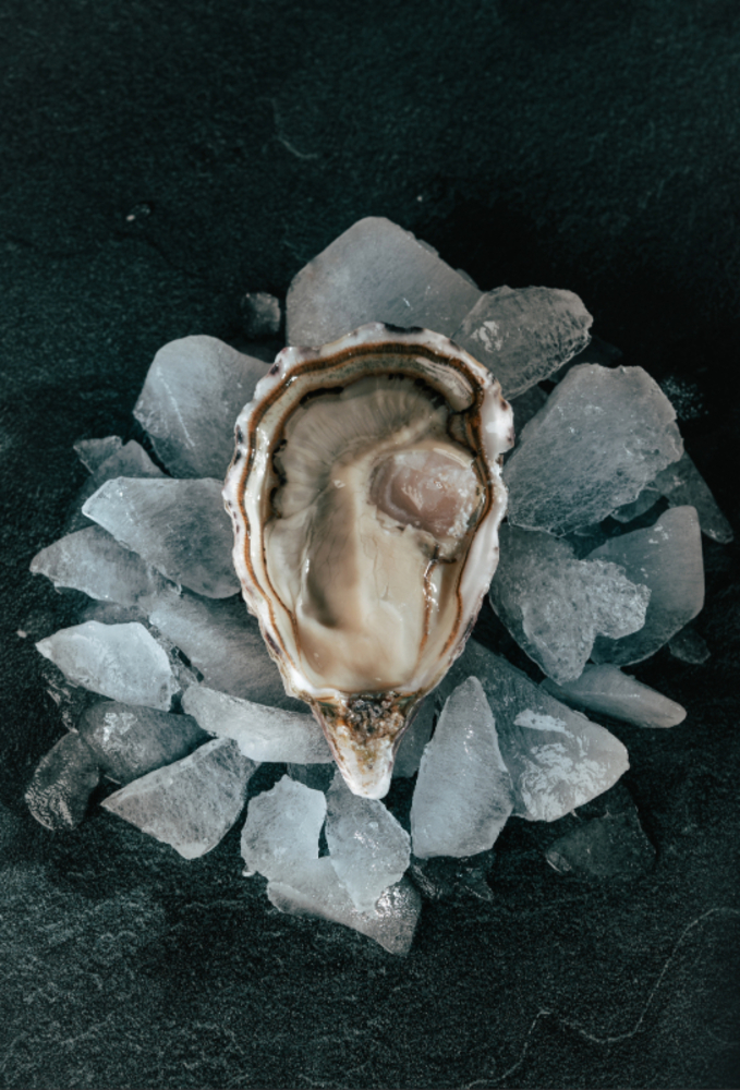 La Spéciale Fort Boyard