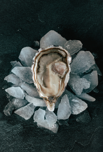 La Spéciale Fort Boyard