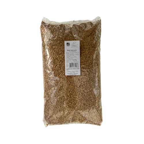 312329 Graine de quinoa blanc BIO en sachet 3 kg ALLIANCE BIO