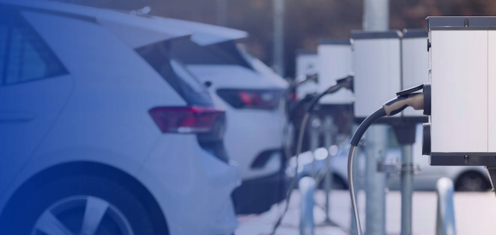 Mutations du marché automobile : quels leviers stratégiques et opérationnels pour les distributeurs ?