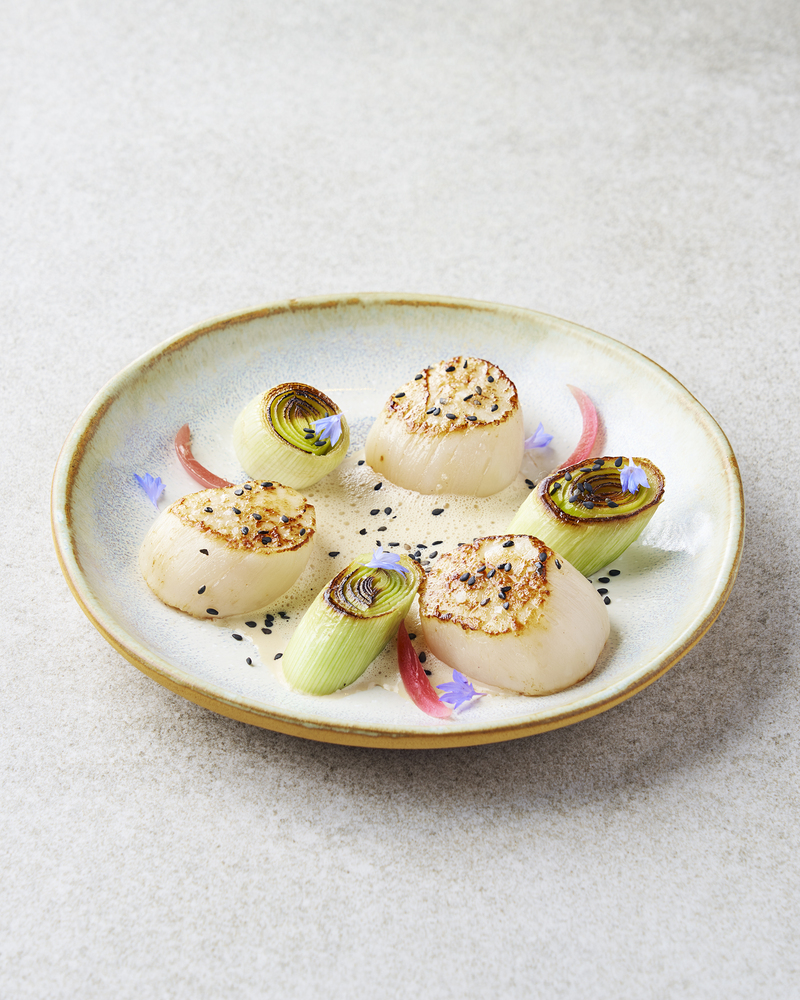 309113	Noix de saint jacques sans corail surgelé 17/25 