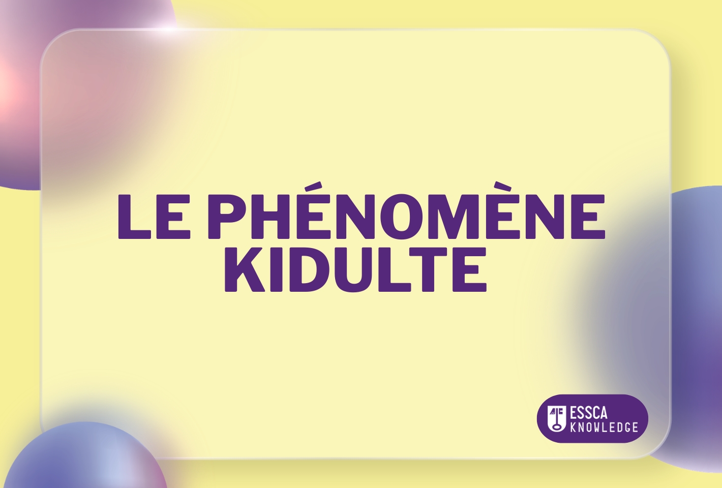 Le Phénomène Kidulte : Un levier de croissance stratégique pour le secteur du jouet