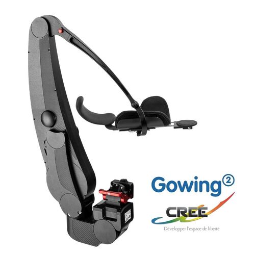 Gowing² 