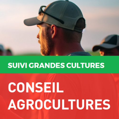 Conseil agrocultures : un temps d'avance pour vos grandes cultures
