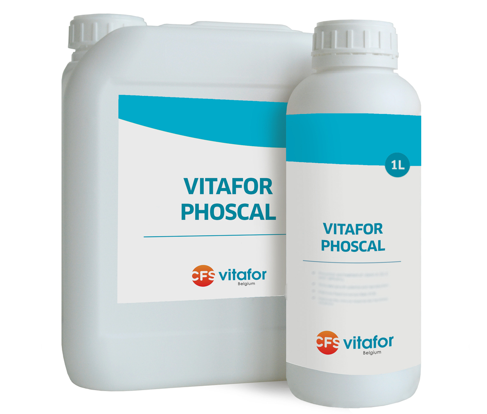 VITA PHOSCAL