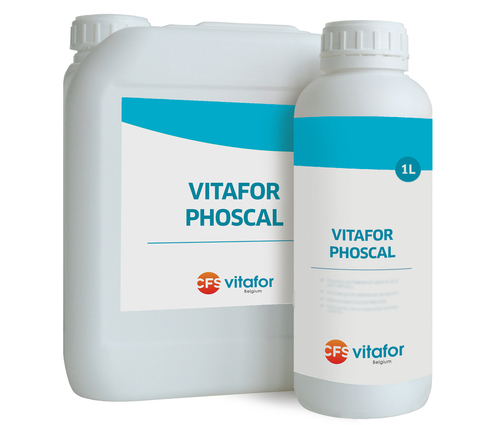 VITA PHOSCAL