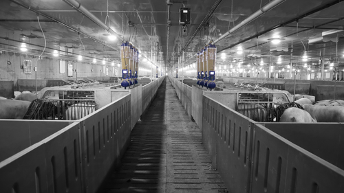 Gamme Gestal - Alimentation de précision