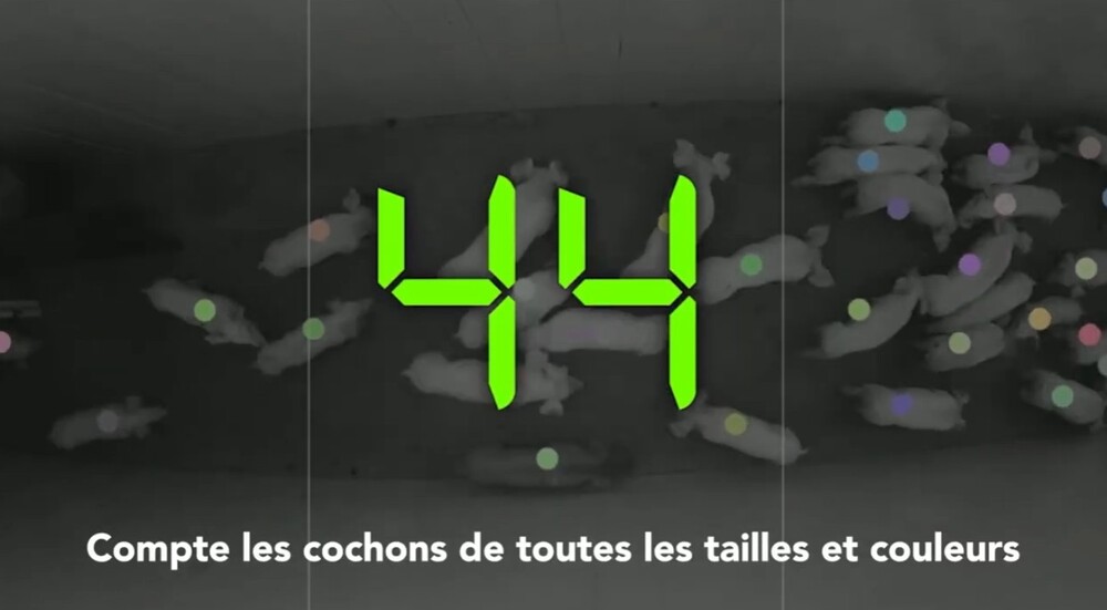 SmaRt Counting
