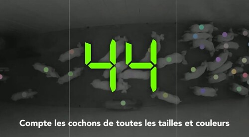 SmaRt Counting