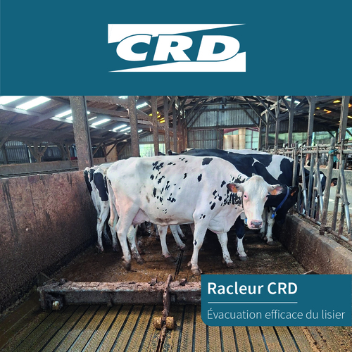 Racleur