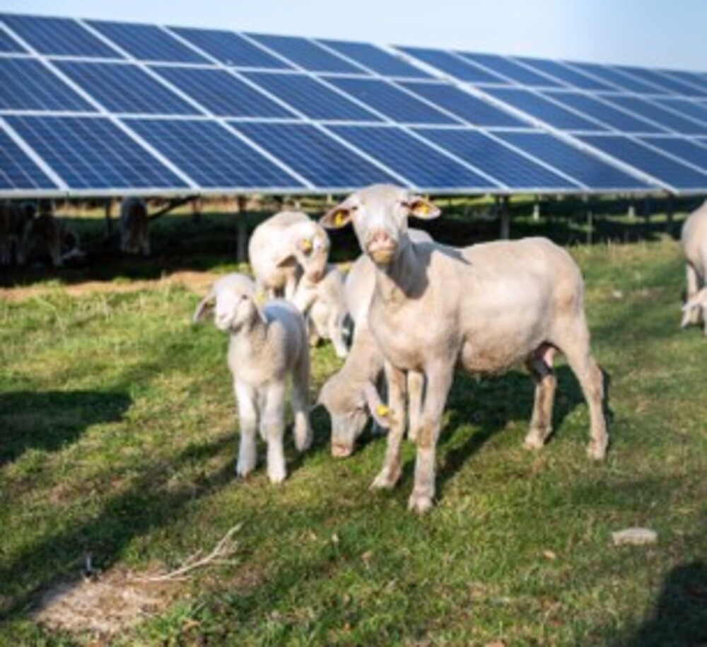 Energie Solaire Photovoltaïque