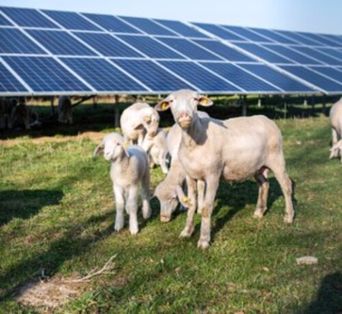 Energie Solaire Photovoltaïque