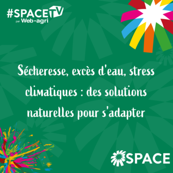 2025-SPACE TV-Sécheresse, excès d'eau, stress climatiques : des solutions naturelles pour s'adapter