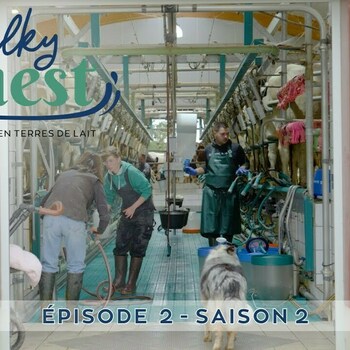 Épisode 2 / S2 - Milky Ouest - Rendez-vous en terres de lait