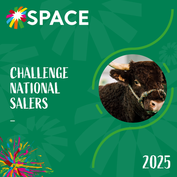 2025-VIDEO-Challenge National Salers