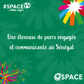 2025-SPACE TV-Une éleveuse de porcs engagée et communicante au Sénégal
