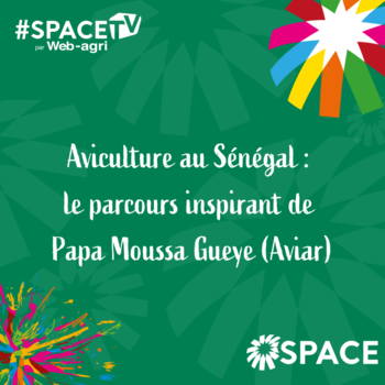 2025-SPACE TV-Aviculture au Sénégal : le parcours inspirant de Papa Moussa Gueye (Aviar)