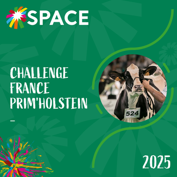 2025-VIDEO-Challenge France Prim'Holstein