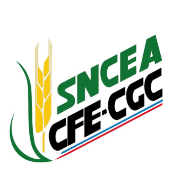 Tiphaine DEVILLIERRE