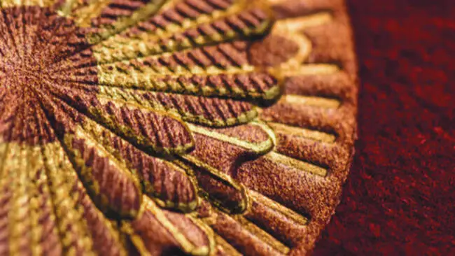 Production de vers à soie : Sericyne lève 300.000 euros