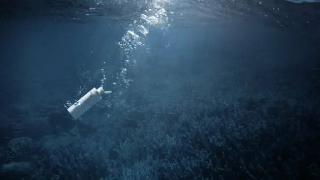 Pollution plastique : une alternative au plastique découverte au fond de la mer ?