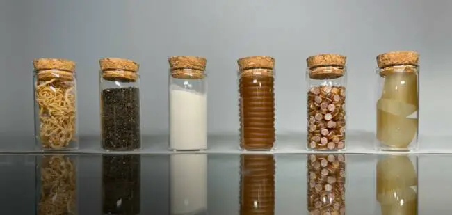 [NouveauMatériau] FlexSea : un bioplastique comestible et biodégradable