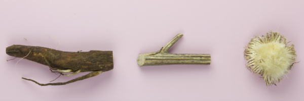 [StartUp] The New Materialist’s Baptiste Arribe & Thomas Vailly on their latest bio-based venture.