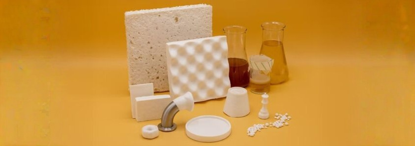 Foamlab : une mousse en nanocellulose bactérienne pour remplacer le polystyrène