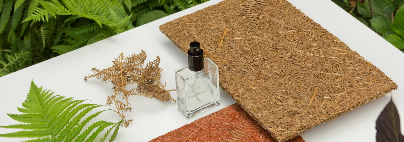 [Start-Up] Biomatériaux, The New Materialist ouvre la voie régénérative