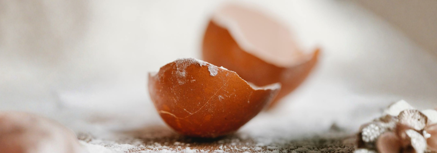 [Nouveaux Matériaux] Circul’Egg : carbonate de calcium recyclé et biosourcé pour une industrie durable