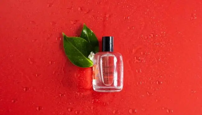 Terre d’Oc source une solution packaging éco-conçue auprès de Coverpla