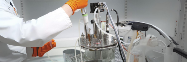 Carbios multiplie les pourparlers avec des clients étrangers