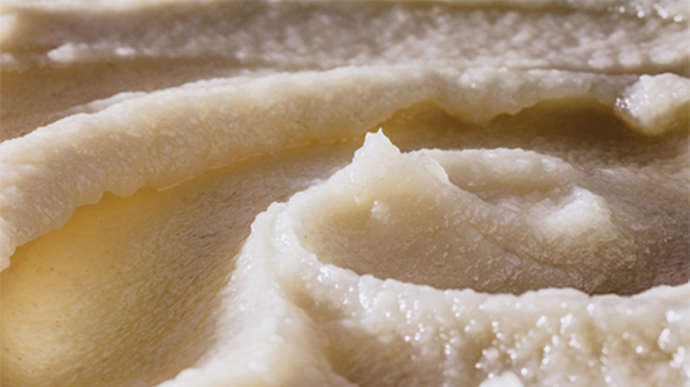 Ref. 9018 Purée de cèleri en galette 2,5KG
