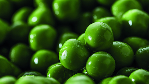 Ref. 237611 Petit pois doux très fin minute FR CE2 AEF 2,5KG