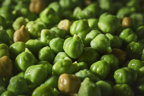 Ref. 289404 Pois chiche vert service 1KG