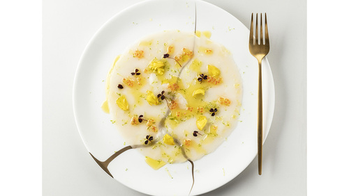 Ref. 318624 Carpaccio noix st jacques 60G