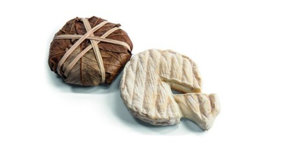 Ref. 98561 Banon au lait cru 25% AOP 100G