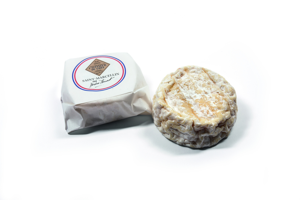 Ref. 159504 Saint-Marcellin au lait cru grand affinage IGP nu 23% MG 80G