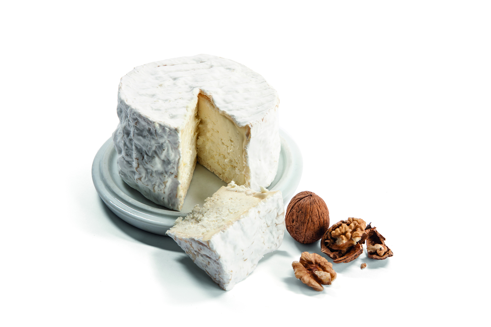 Ref. 302524 Chaource fermier au lait cru AOP affiné 25% MG 500G env.